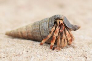 G18ef90a51cbfcbc60e5e14f8b32c8464d6ca23ef63d4459994e0d1fd18ef2bddc9b924cff3f64840ef321ae1d1d5205351898cd9a6dd08e93dff02e91e9ee0c9 640